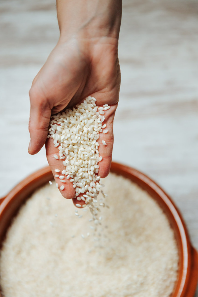 El almidón en el arroz: ¿qué son la amilosa y la amilopectina?