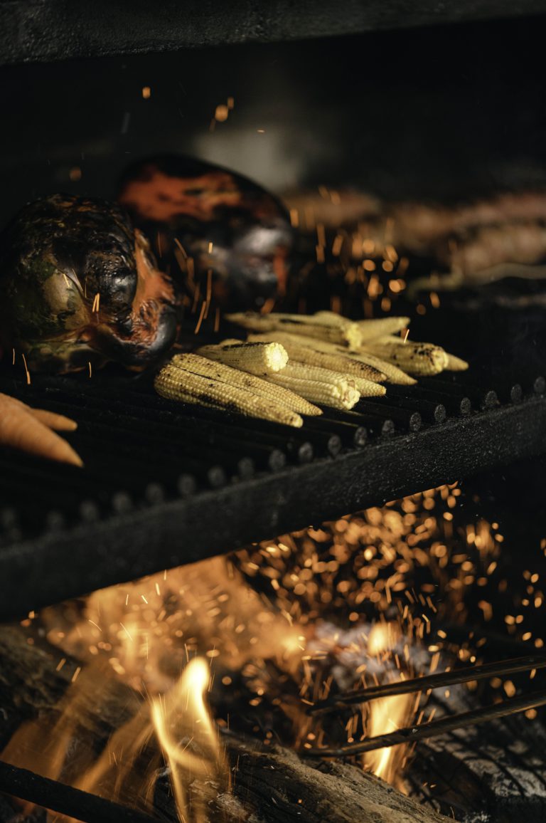 brasa barbacoa parrilla 1