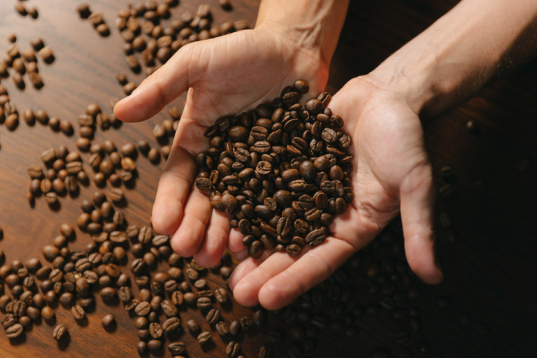 granos de café para elaborar café de especialidad