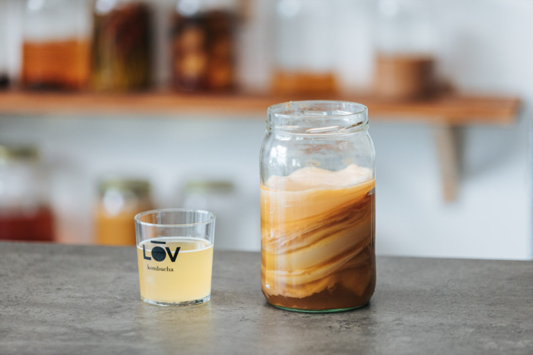 receta kombucha básica 1