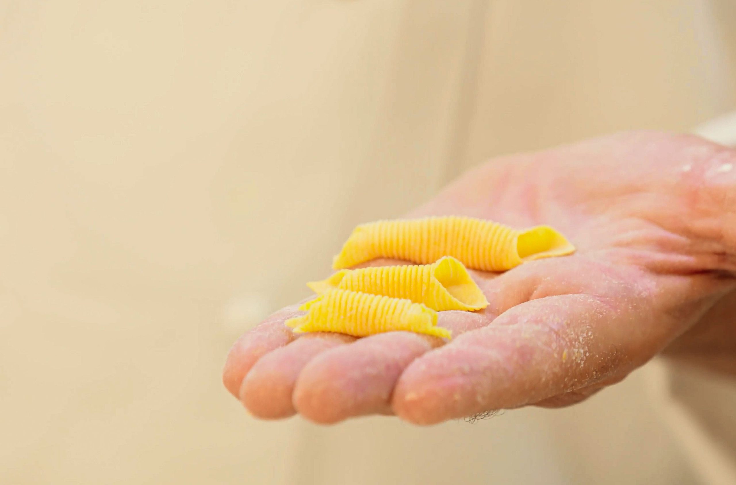 pasta fresca en dietas 1