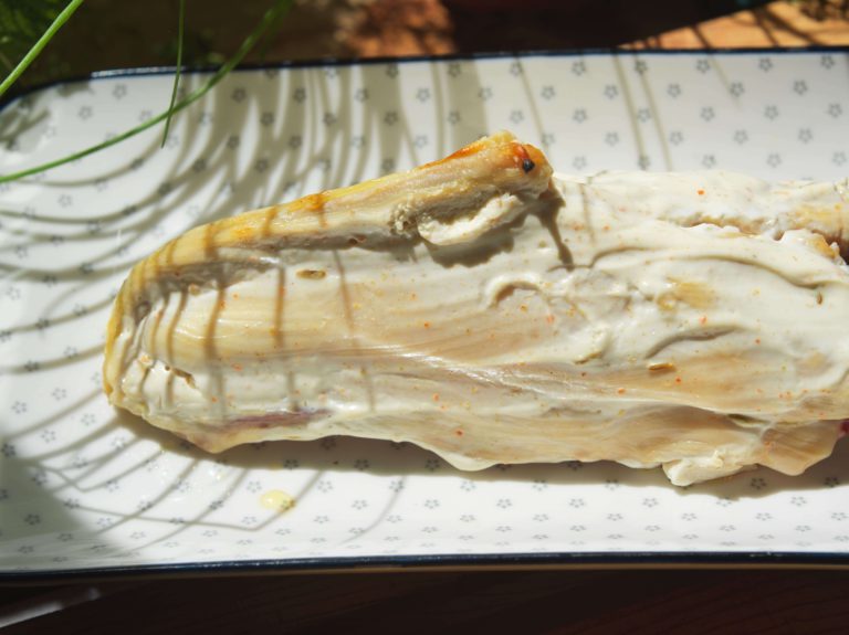 conservar pollo 1