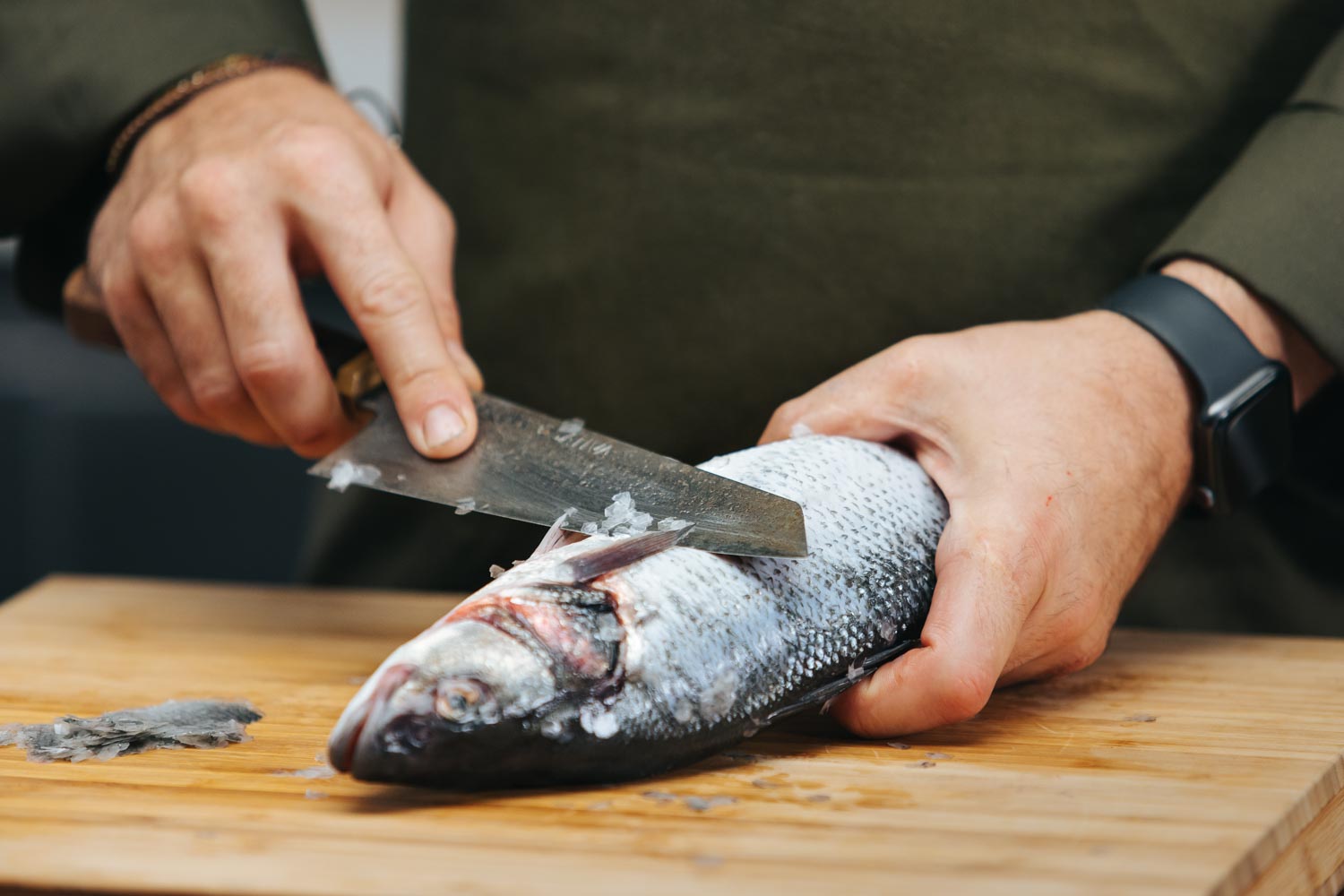 pescado visual data 4