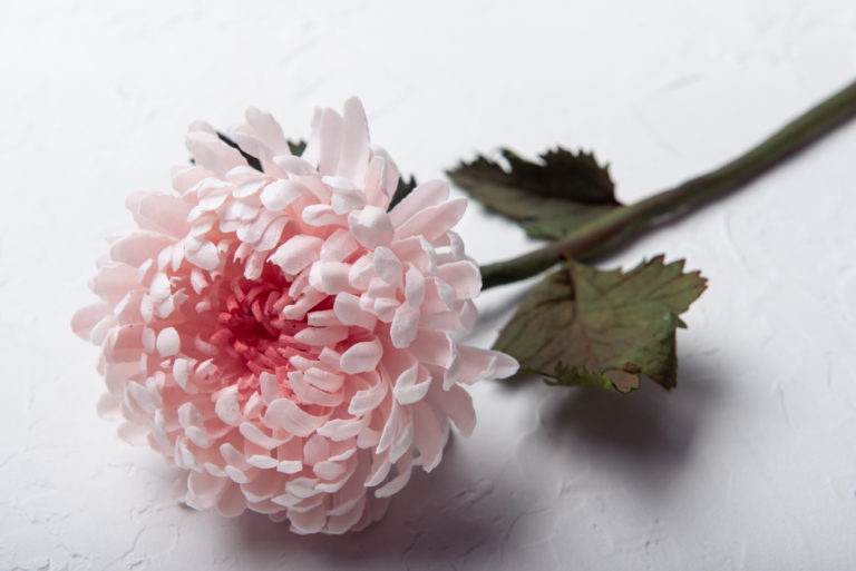 Crisantemo de papel de arroz, cómo pintar las hojas