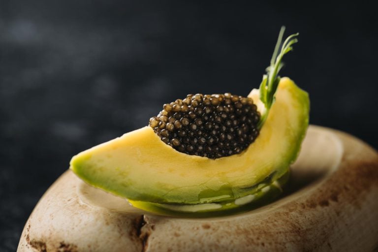 variedades de aguacate 1