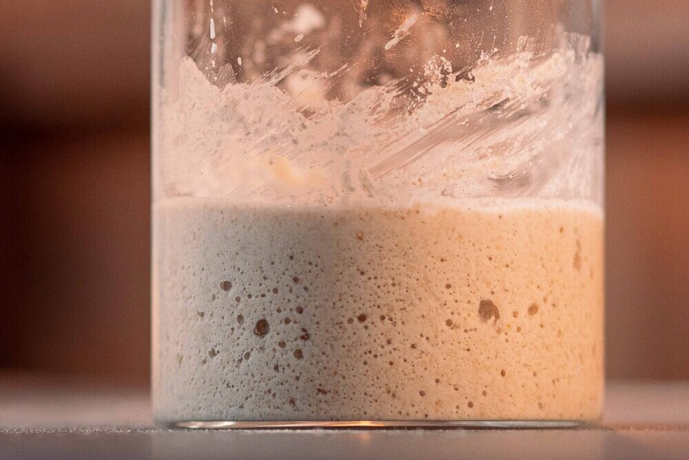 Recipiente con masa madre, como mantener la masa madre activa