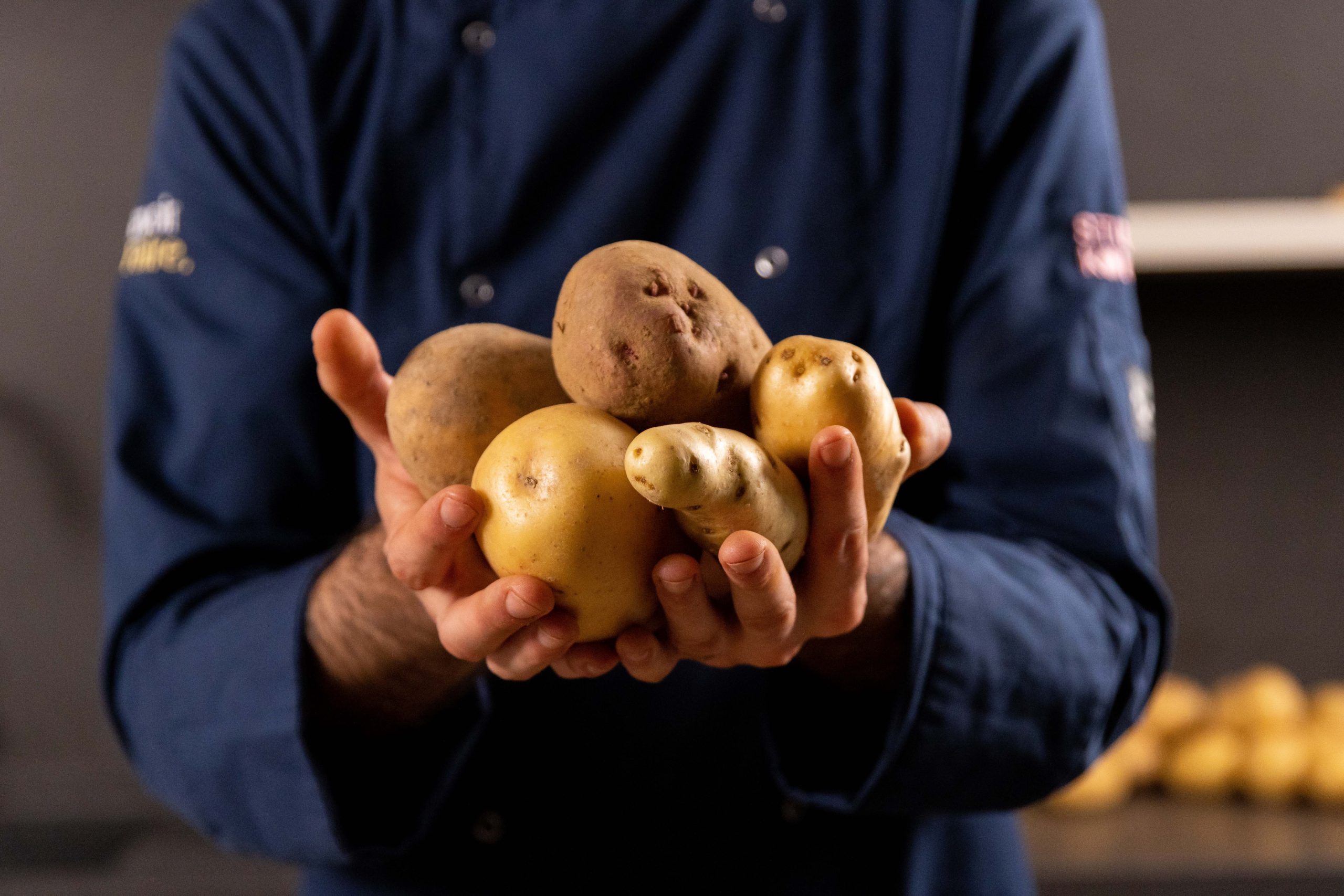 ¿Cuáles son las patatas ideales para un puré de patatas perfecto?