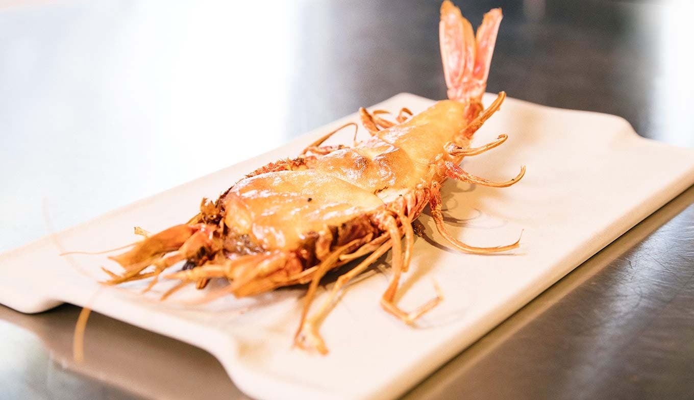 Sous Vide Fish and Seafood