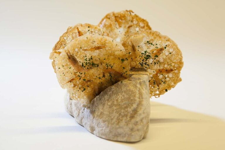 Tapas de Alta Cocina