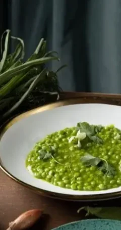 Cocina vegetal y saludable_listado-min