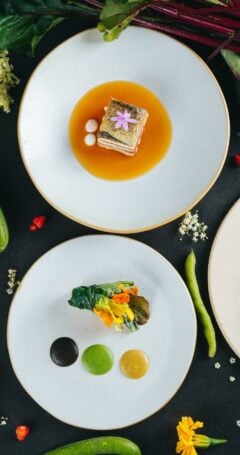 Diseño sin título (9)