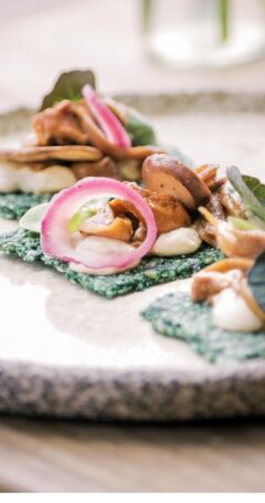 420 coming soon - Fundamentos de Cocina Crudivegana