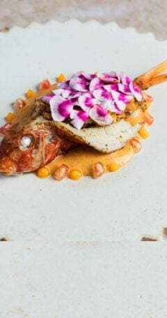 437 Alta Cocina con Pescado coming soon