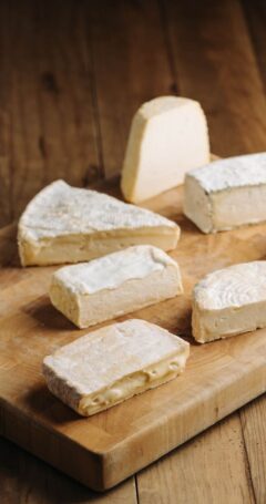 438 Fundamentos del Queso coming soon
