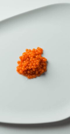 470 Técnicas de Gelificación - coming soon