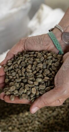 490 el Cafe desde la finca a la taza - coming soon