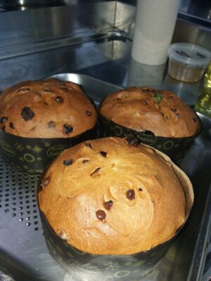 panetonne
