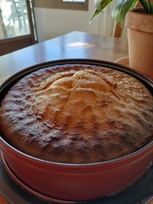 17029845270892249139592918771326