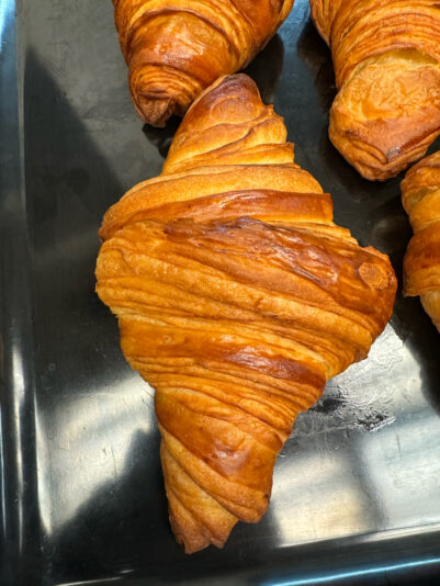 C9AD40AF-6550-42E6-B45C-3BB0AFD60CFE