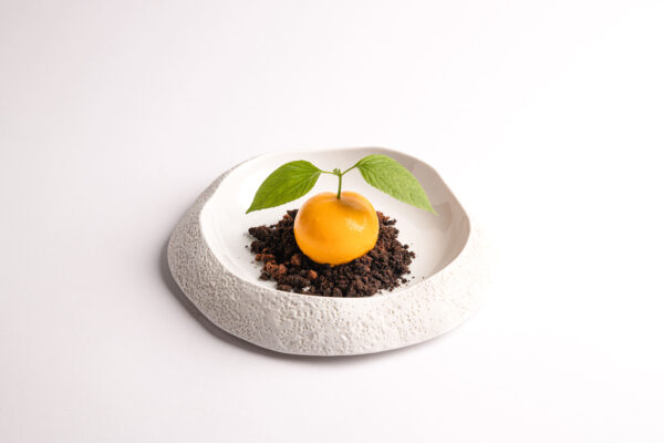 tangerine cheesecake