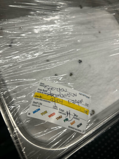 8842A932-0C68-4864-A6B3-78510E62E692