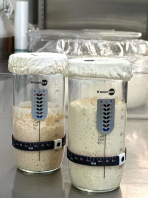 877CE45C-D364-4BC6-B862-A9BDF36916D8