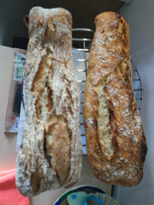 DE1A7B48-858A-4796-9732-E1DC17BF6286