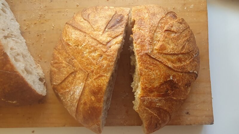 7669ce00-f24a-4328-8180-eb37287dc03d