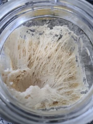 8e30a7a6-e85d-433d-9d59-353f045a1799