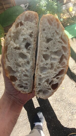 a583e6d5-0299-448b-8b2a-651541bfb646