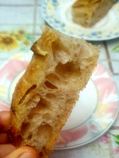 02e48658-3976-44c5-975f-f295137f6c9a