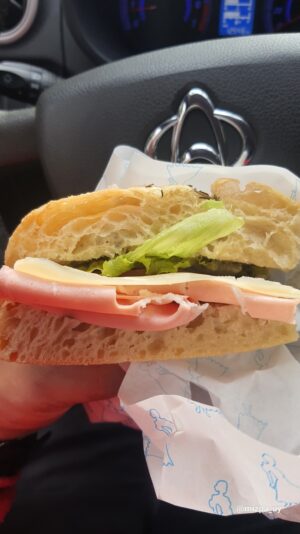 13e6c8f2-05cf-4762-a722-a15fae0a3c9b