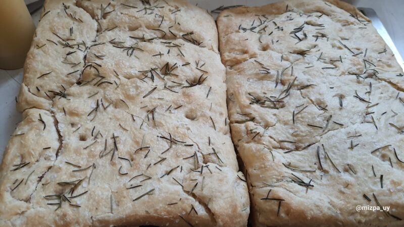 299582f8-3168-4e73-b91a-9052b8a90efb