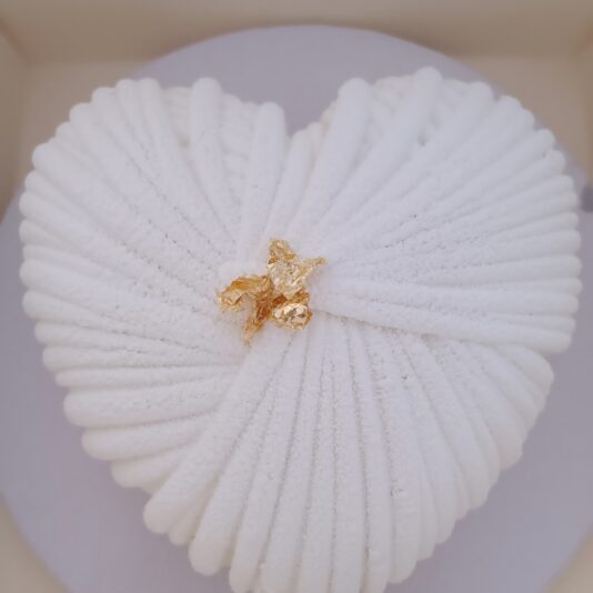 7166cc4e-0f88-4e38-8fe3-78de50f8bd12