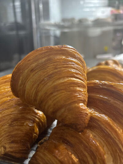 78F69B0B-A5AA-4058-8F45-EEFA3A90240D