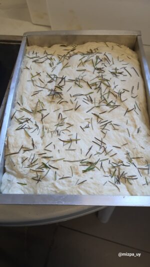 96aaafb6-642e-4c7f-8e6e-4cc824b455ea