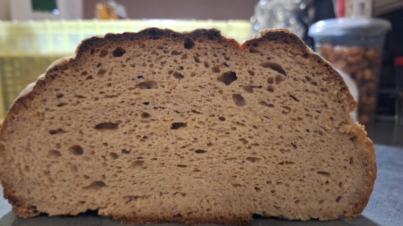 346428ef-8f08-4c93-b9a1-d092c72c9905