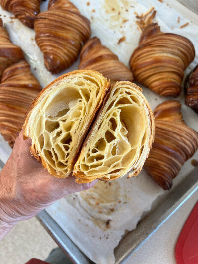 3637C445-987E-4448-864B-A16E801A405C