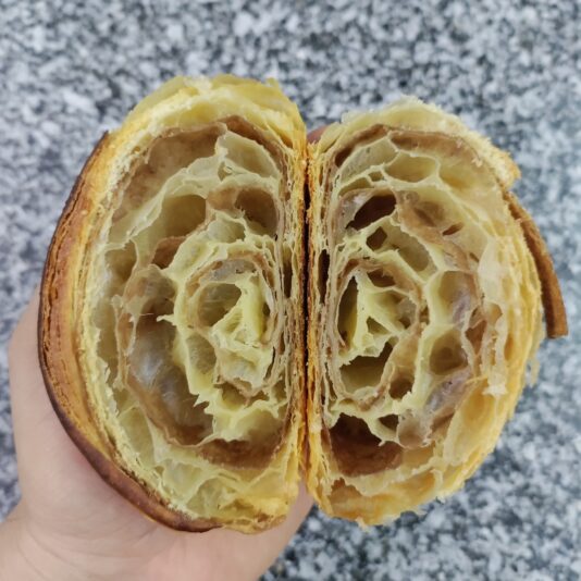 95c0e0c7-42a8-4e79-8c0a-b7c1ba6d2003
