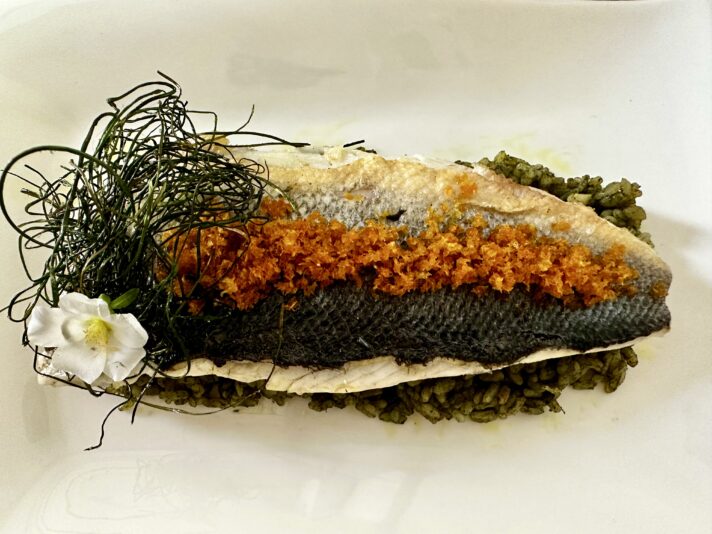 484F1664-51CE-42F7-BED2-D7DDB9363D9E