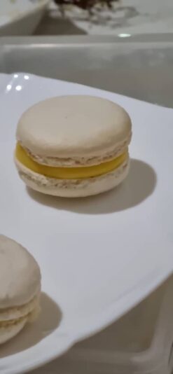 1727108569181