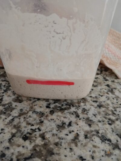 cc918f08-f301-43e6-98ff-a887a999d731