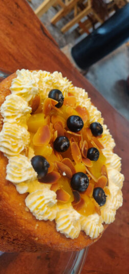 0AE058DE-BD88-443A-AD87-C9CF8EF052AE