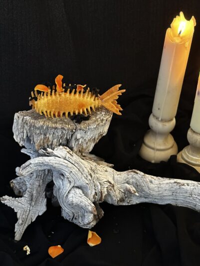 0B34F4E6-23DB-40FB-B915-F91BCCFD1CBD