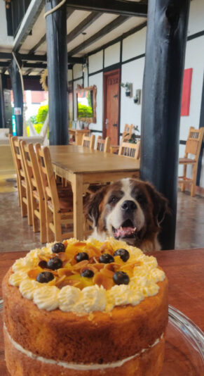 44684FE0-D03D-40BD-AA6F-BAEEB0E84A64