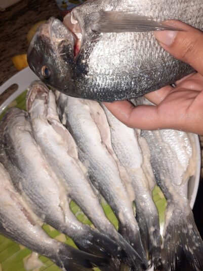 4d9daef4-4ace-4c0e-a077-a2557172b569