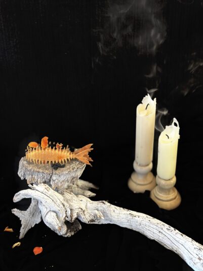 543C6A68-A066-4EAE-A574-B51A3003235C