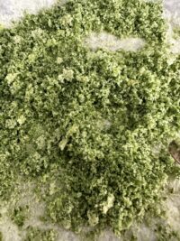 trim.111EC0ED-9E92-4FEC-A9EE-5A55826C0B25