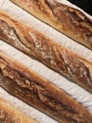 6061A2BA-C12B-41A2-BBC2-42D6623FF1B4