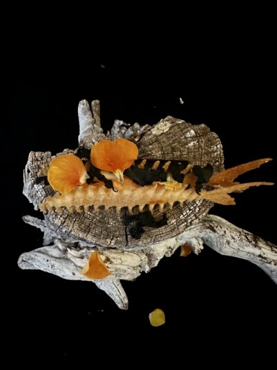 6C528B98-AC58-42ED-B568-CE1EE2543161